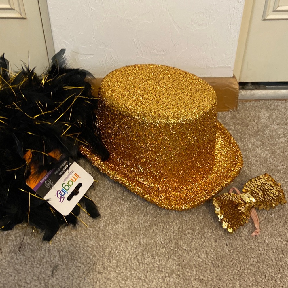 Top hat with bow tie and feather boa
